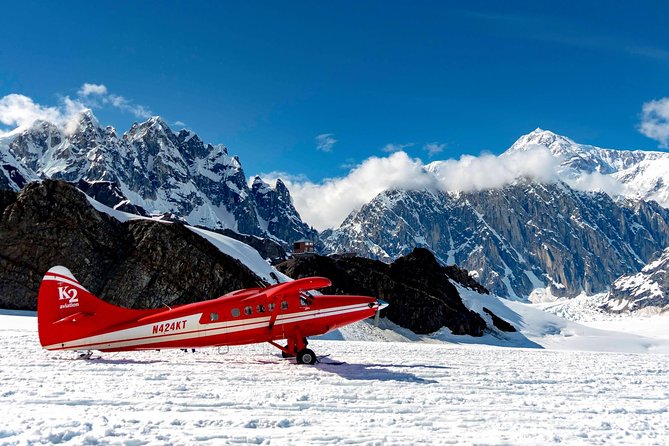 Denali Flyer Flightseeing Tour From Talkeetna - What to Expect