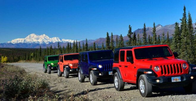 Denali: Highway Jeep Excursion - Narration by Experienced Wilderness Guide