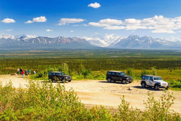 Denali: Highway Jeep Excursion - The Sum Up