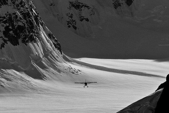 Denali National Park Flight and Glacier Landing From Talkeetna  - Alaska - Viator Help Center