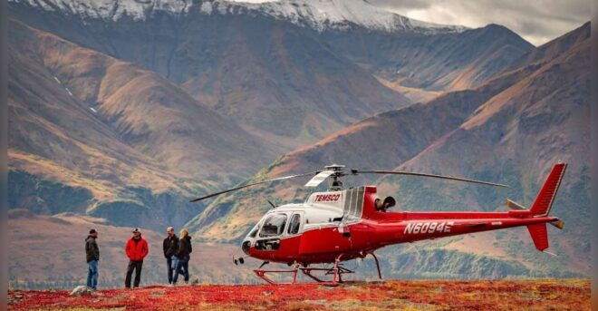 Denali National Park: Helicopter and Hike Adventure - Meeting Point and Requirements