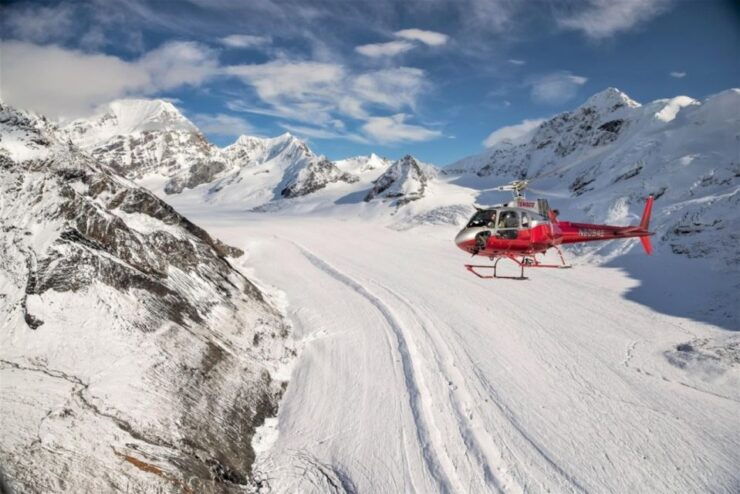 Denali National Park: Helicopter Flight With Glacier Landing - Highlights of the Experience