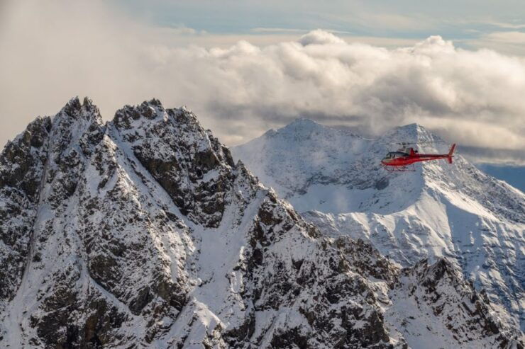 Denali National Park: Helicopter Flight With Glacier Landing - Experience Highlights