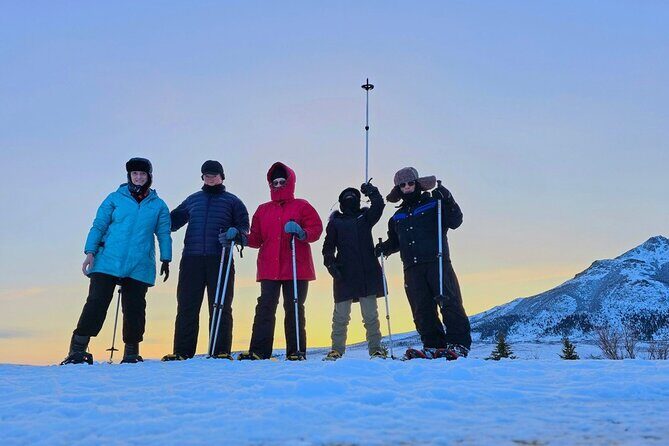 Denali National Park plus Aurora Chase Tour - Who Should Book This Tour?