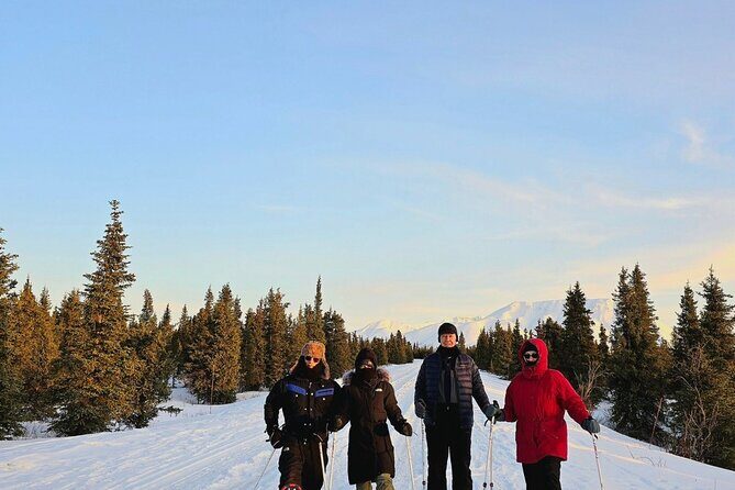 Denali National Park plus Aurora Chase Tour - Frequently Asked Questions (FAQs)