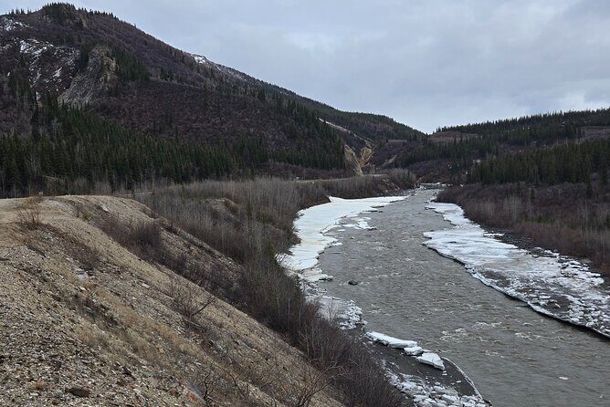 Denali National Park Shuttle - An Overview of the Denali National Park Shuttle Experience
