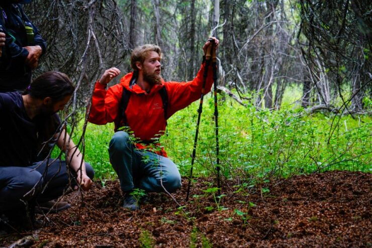 Denali: Naturalist Walking Tour in Denali National Park - Activity Details