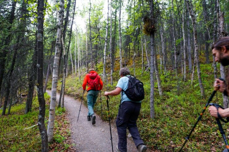 Denali: Naturalist Walking Tour in Denali National Park - Experience Highlights