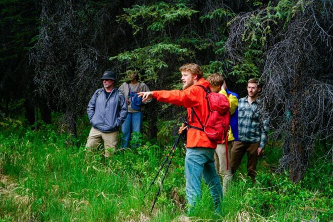 Denali: Naturalist Walking Tour in Denali National Park - Reservation Details
