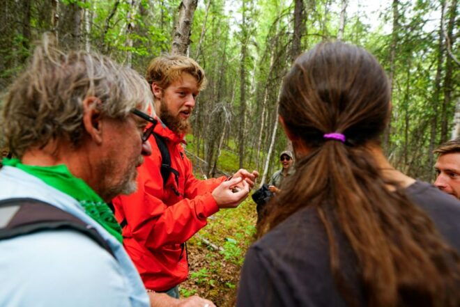 Denali: Naturalist Walking Tour in Denali National Park - The Sum Up