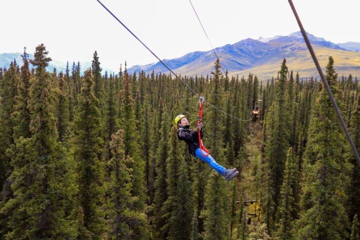 Denali Park Zipline Adventure - Activity Details