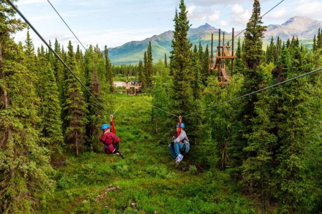 Denali Park Zipline Adventure - Reservation and Payment