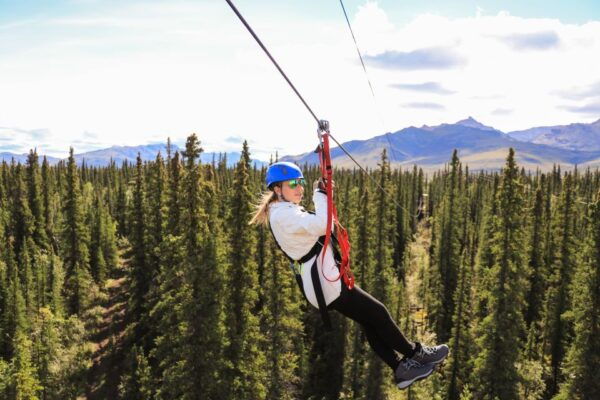 Denali Park Zipline Adventure - Common Questions