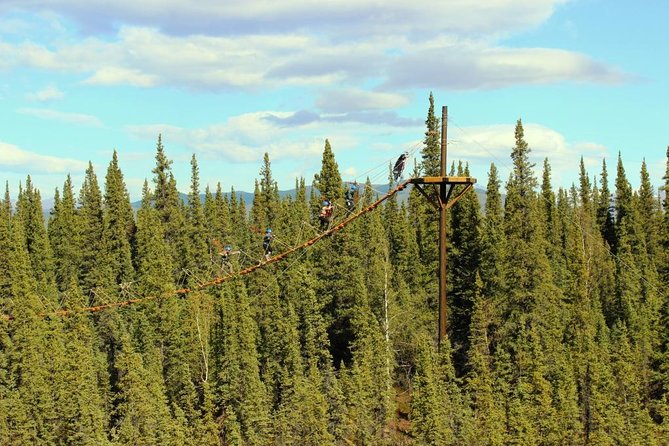 Denali Park Zipline Adventure - Overview and Course Details