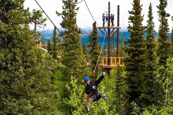 Denali Park Zipline Adventure - Traveler Photos and Reviews