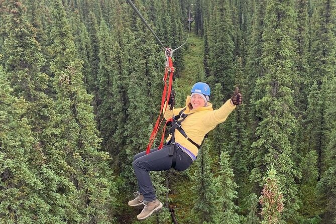 Denali Park Zipline Adventure - The Sum Up
