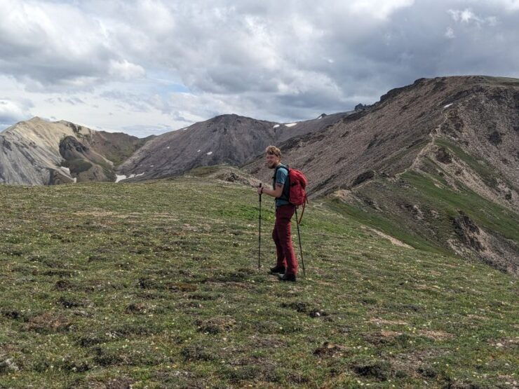 Denali Range: 8-Hour Guided Hiking Tour in Denali - Booking Details and Logistics