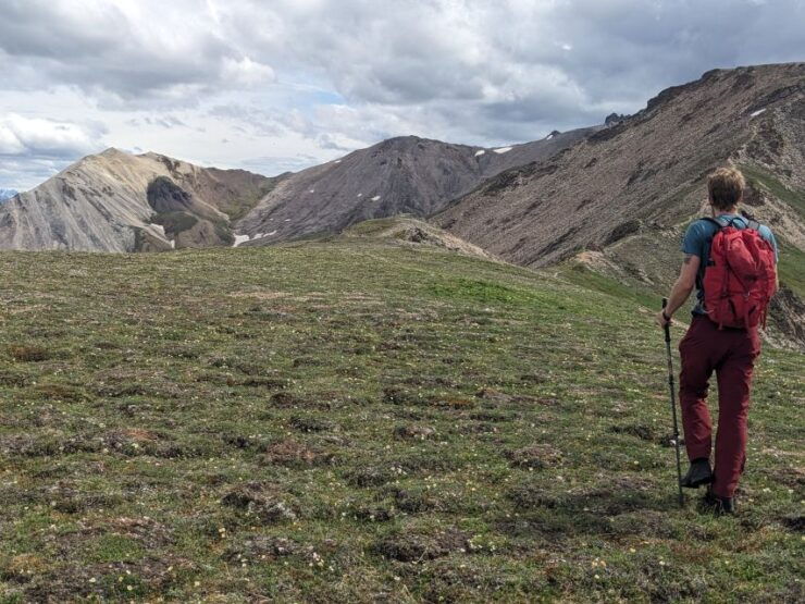 Denali Range: 8-Hour Guided Hiking Tour in Denali - Experience Highlights