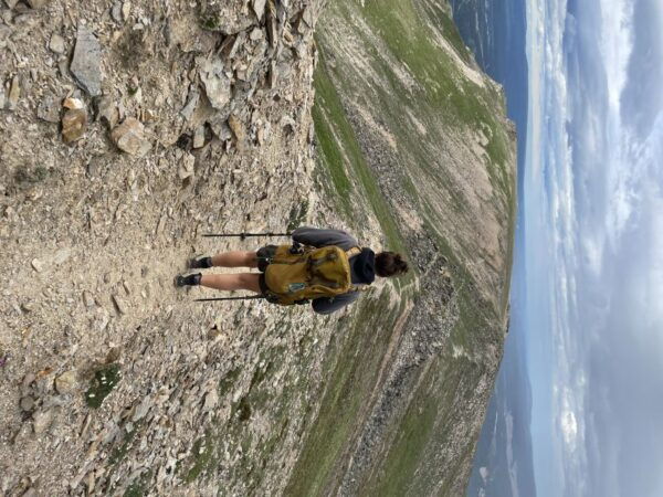 Denali Range: 8-Hour Guided Hiking Tour in Denali - Common Questions