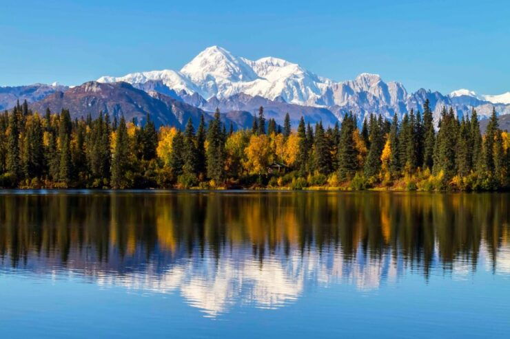 Denali State Park: 2.5 Hour Byers Lake Kayaking Tour - Good To Know