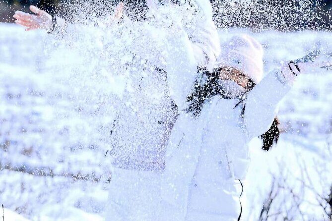 Denali Summer Winter Trial Shuttle with Professional Camera - Deep Dive into the Itinerary