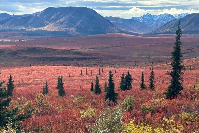 Denali Summer Winter Trial Shuttle with Professional Camera - FAQ