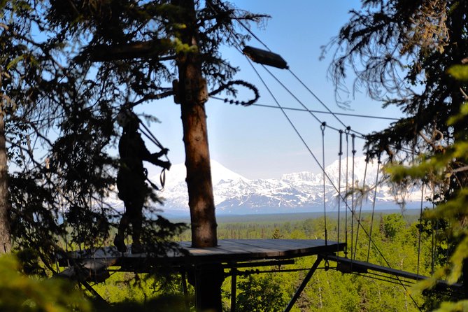 Denali Zipline Tour in Talkeetna, AK - Inclusions and Logistics