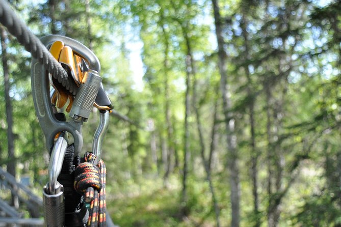 Denali Zipline Tour in Talkeetna, AK - Positive Reviews