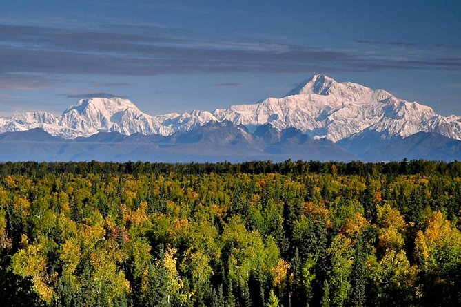 Denali Zipline Tour in Talkeetna, AK - Negative Review