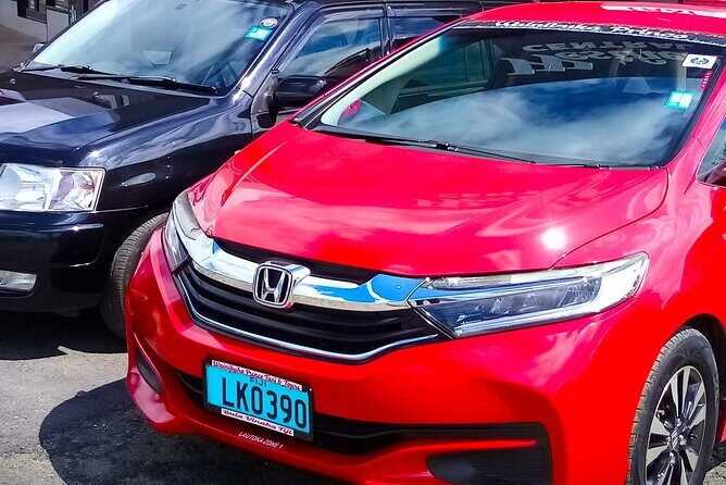 Denarau Hotels/ Resorts to Natadola Beach Round Trip - Tips for Making the Most of Your Day