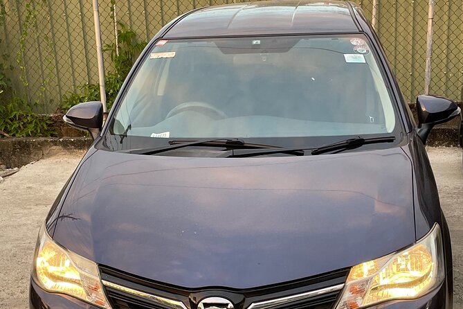 Denarau Hotels to Nadi Airport (Private Transfer) - Additional Information