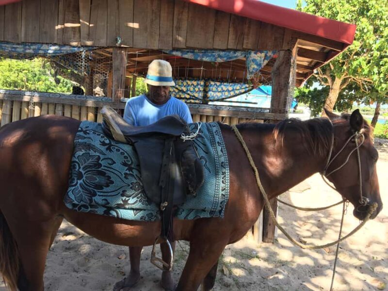 Denarau Island to Natadola Beach Round Trip - What Could Be Better?