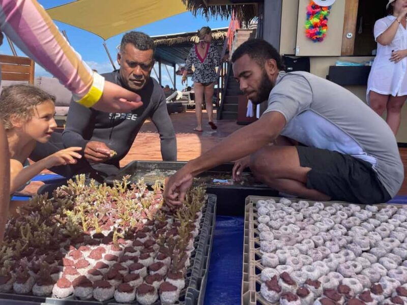 Denarau: Seventh Heaven Floating Bar Day Trip - Final Thoughts