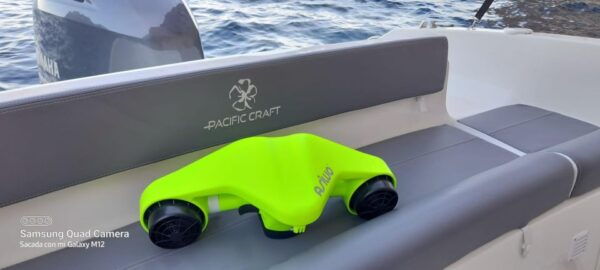 Denia: Boat Trips. Private Boat Denia and Javea Coast - The Sum Up