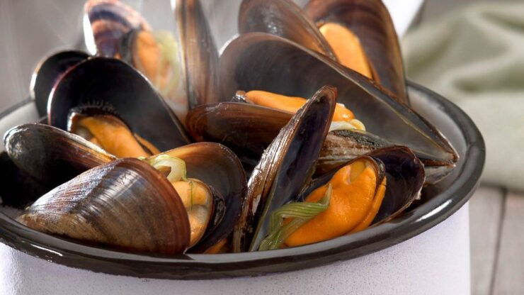 Denia: Cova Tallada Catamaran Trip W/ Mussel Tasting & Wine - Experience Highlights