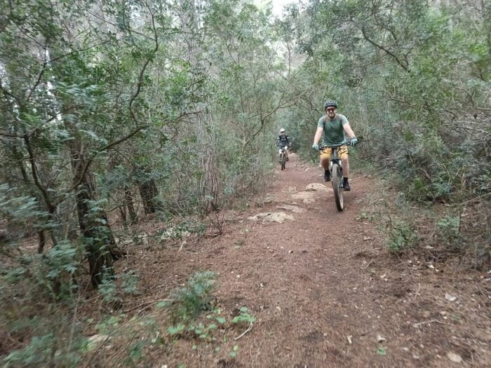 Dénia: Electric Mountain Bike Tour Around the Montgó Mountain - Preparing for the Adventure