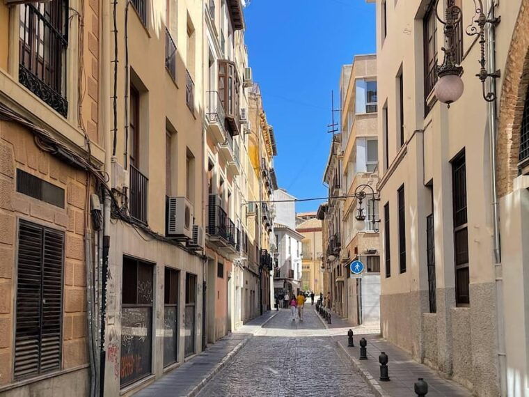 Denia: Guided Walking Tour - Language and Price