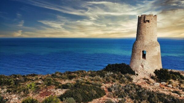 Denia - Old Town Private Walking Tour - Group Experience and Tour Guide
