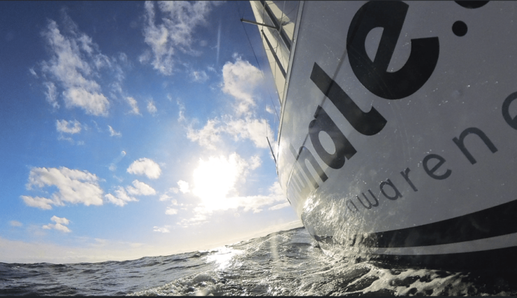 Denia: Sunset Electric Sailboat Cruise With Dolphin Spotting - Good To Know