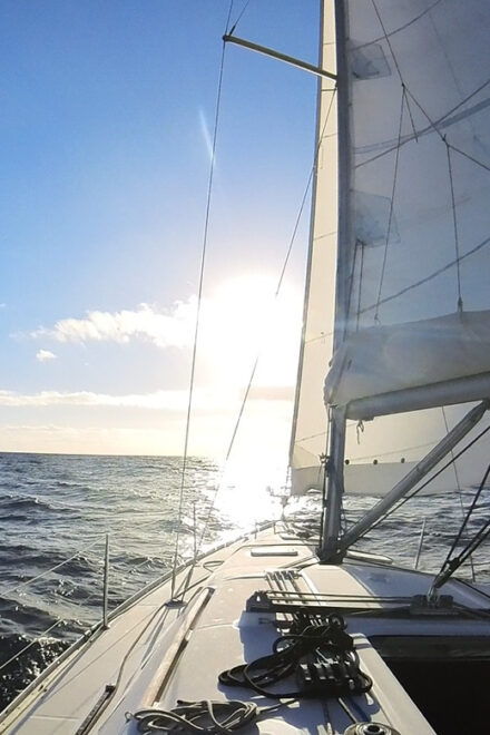 Denia: Sunset Electric Sailboat Cruise With Dolphin Spotting - On-Board Technology and Guides