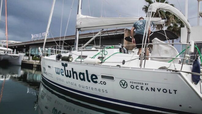 Denia: Sunset Electric Sailboat Cruise With Dolphin Spotting - Amenities and Refreshments
