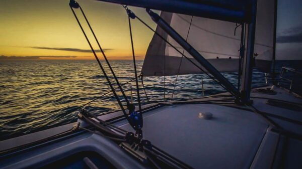 Denia: Sunset Electric Sailboat Cruise With Dolphin Spotting - Participant Suitability and Restrictions