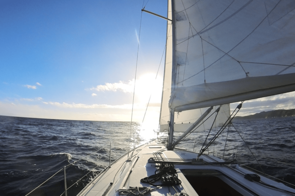 Denia: Sunset Electric Sailboat Cruise With Dolphin Spotting - Important Meeting Point Details