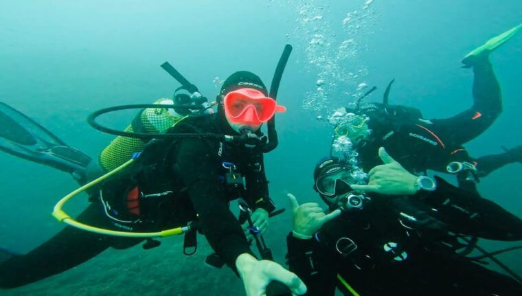 Denia: the Fascination of Diving on the Costa Blanca - Meeting Point and Schedule Details