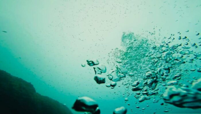 Denia: the Fascination of Diving on the Costa Blanca - Common Questions