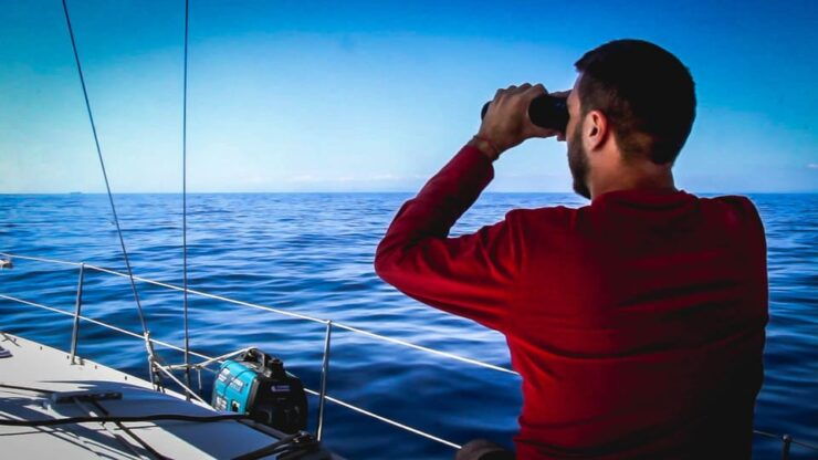 Denia: Whale and Dolphin Watching Morning Experience - Highlights of the Tour