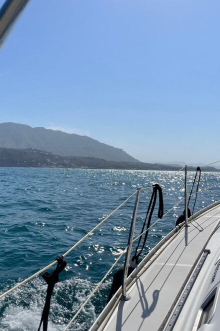Denia: Whale and Dolphin Watching Morning Experience - Cancellation and Reservation