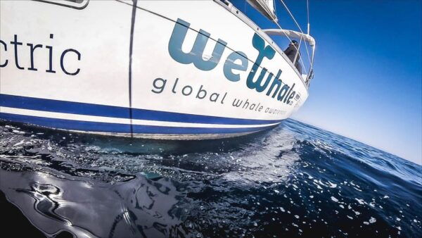 Denia: Whale and Dolphin Watching Morning Experience - Onboard Experience