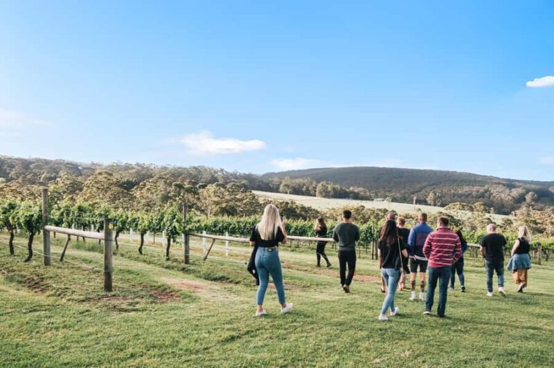 Denmark: A Sense of Place Singlefile Wines Tour & Tasting - Good To Know