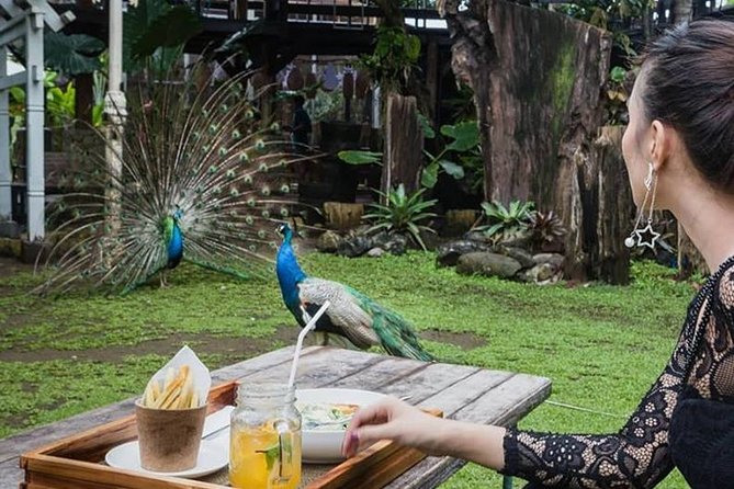Denpasar City Tour - Review Summary